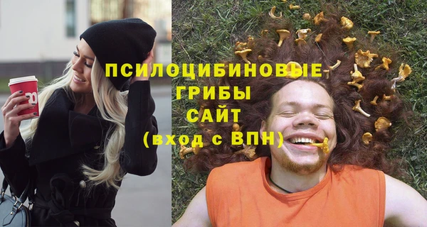 экстази Арсеньев