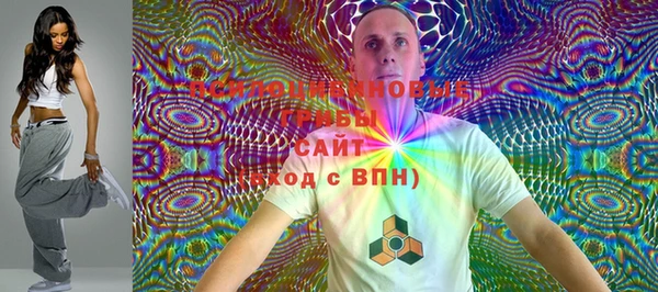 индика Балабаново