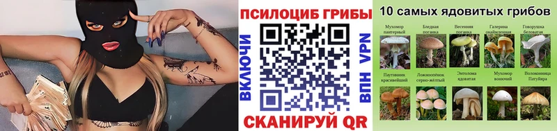 купить наркоту Опочка Псилоцибиновые грибы MAGIC MUSHROOMS